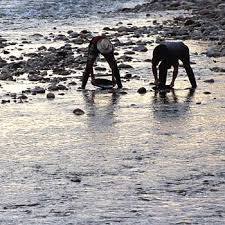 Réserve naturelle de la Bessa