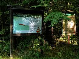 Rezerwat przyrody Wiączyń