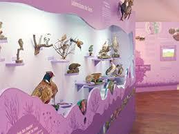 Naturkundemuseum Niebüll