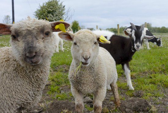 Burren Nature Sanctuary