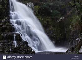 Coed y Brenin Forest Park