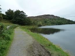 Llyn Cynwch