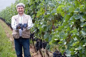 Azienda Vinicola Durin