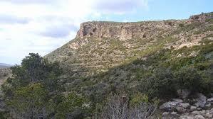 Pico Del Águila
