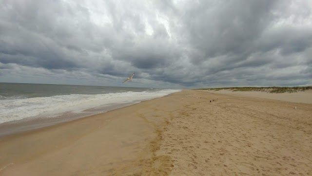 Amagansett Beach