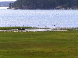 Sandemar Nature Reserve