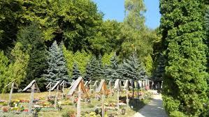 Mormantul Parintelui Arsenie Boca