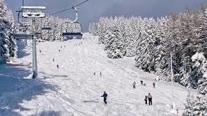 Ski-Waldheimat Hauereck