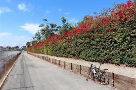 Laguna Dominguez Trail