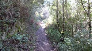 Sendero Ribera de Jabugo