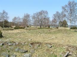 Svinö naturreservat