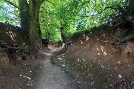 Wąwóz Korzeniowy Dół