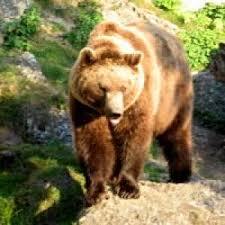 Wildlife park Tiergarten Braunfels