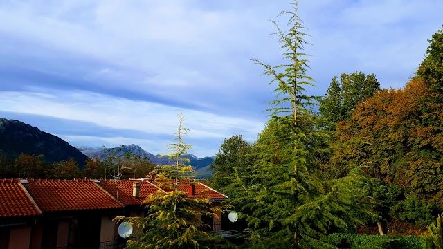 Parco Regionale di Roccamonfina-Foce Garigliano