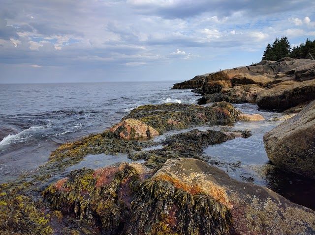 Herring Cove Provincial Park Reserve