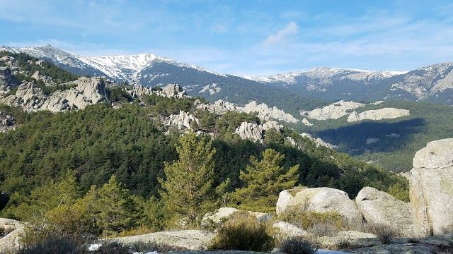 Cuenca Alta Manzanares Regional Park