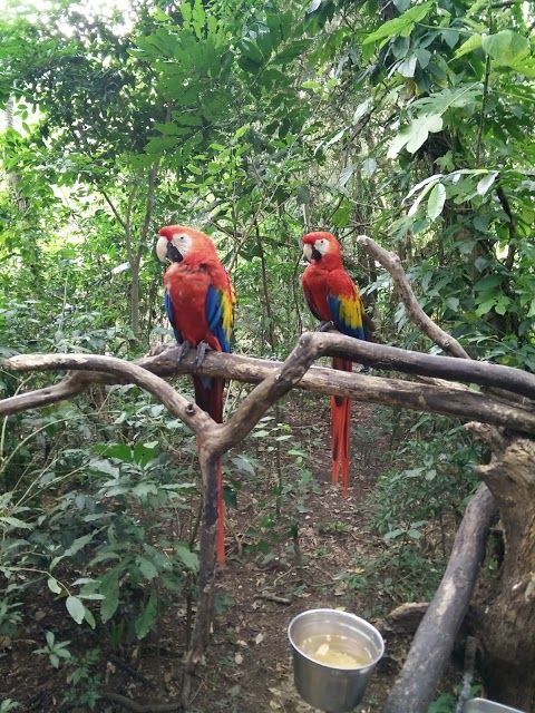 EcoParque y Zoologico Aluxes