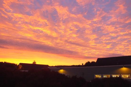 Harvest at Mendosa's