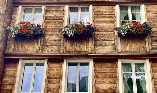 Frohe Aussicht