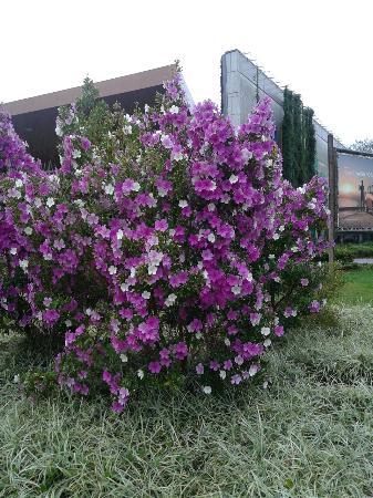 Divina Panificadora e Confeitaria