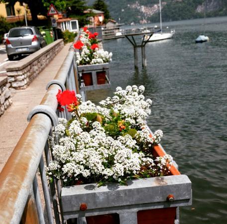 La Fabbrica Del Gelato