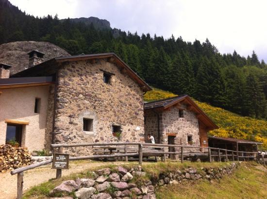 Agriturismo Ferdy d'Alpe