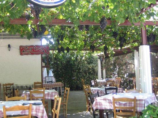 Zorba's Taverna