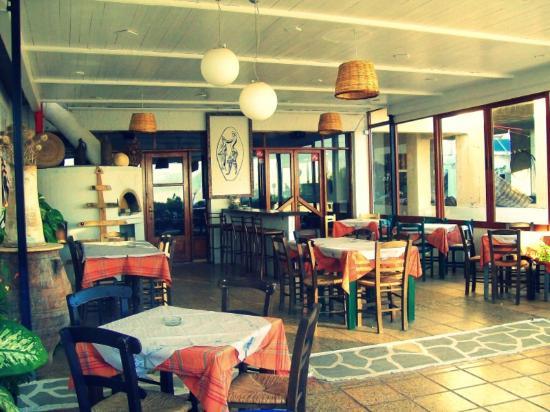 To Rakadiko tou Harri