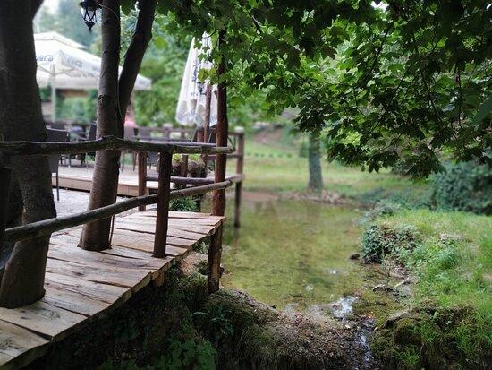 Pod Rastockim Krovom