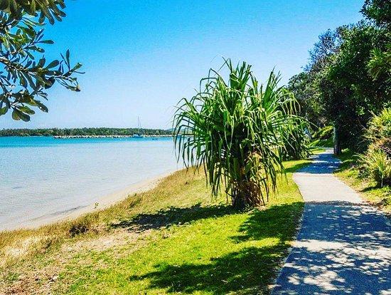 Clarence River Fishermen's Co-Operative Ltd