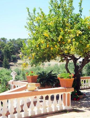 Villa Foti Melito Porto Salvo