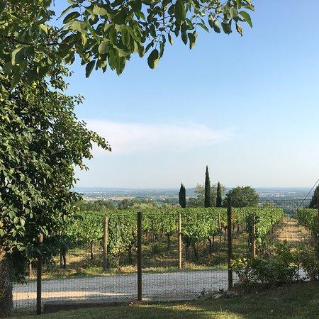 Ristorante Le Badie