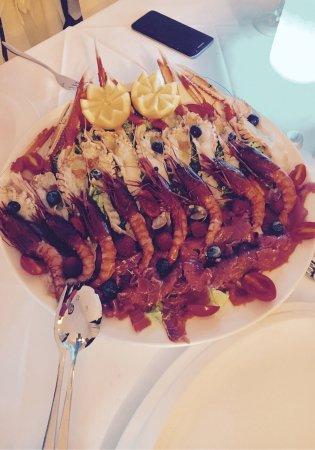 Pizzeria Gatto Bianco