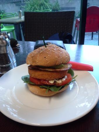 The Mountain Brew Coffee