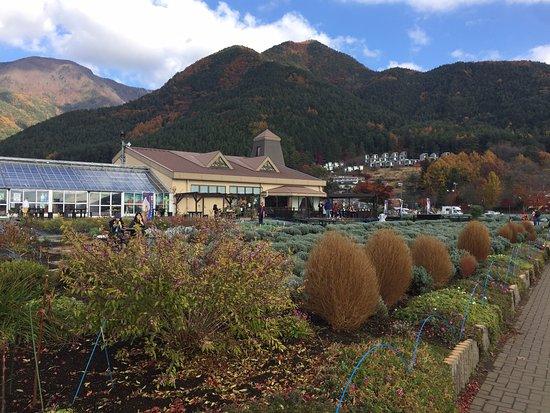 Kawaguchiko Shizen Seikatsukan