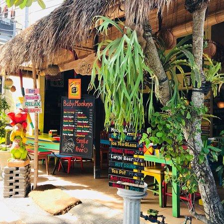 Warung Baby Monkeys