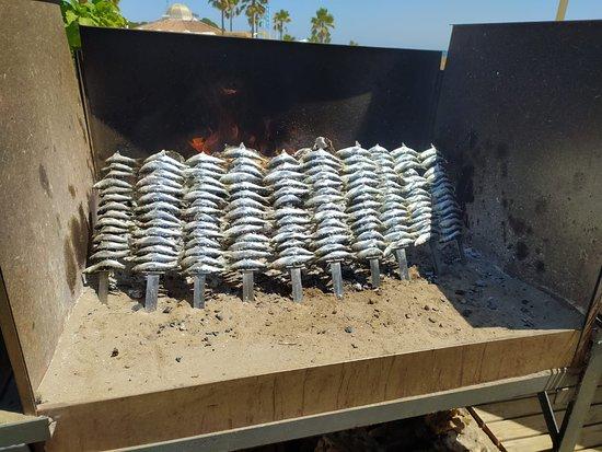 Arenal Beach Bar & Restaurant