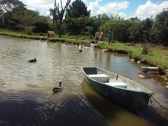 Estância gourmet Viamonte