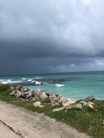 Isla Mujeres Food Tours