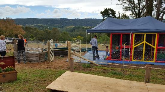 Kurrajong Bark Park and Cafe BCM