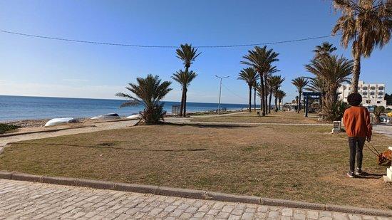 Bar Letizia Di Letizia Domenico