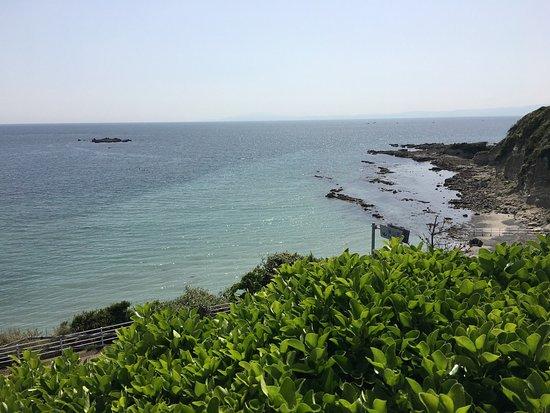 Hayama Hotel Otowa No Mori Restaurant Shiosai