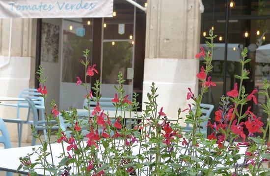 Tomates Verdes Restaurant & more