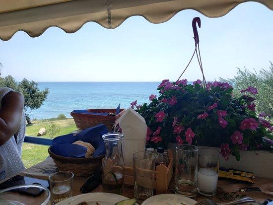 Taverna Thalassa