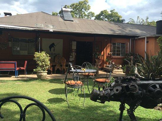 Elephant & Pineapple