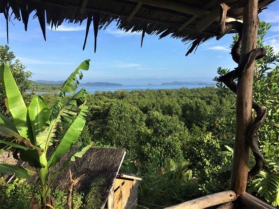 Jungle Bar restaurant & hut