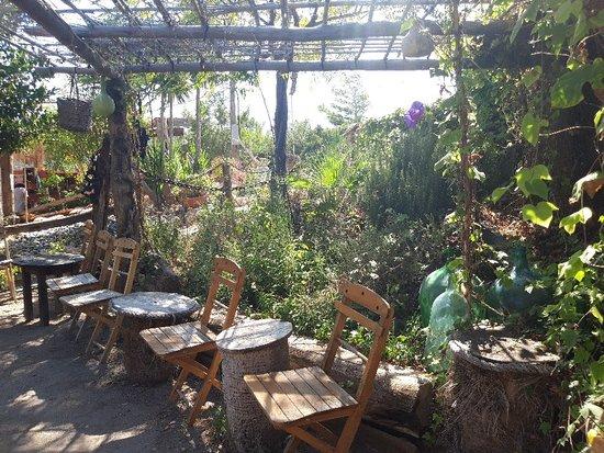 Kritinia Cafe & Shop