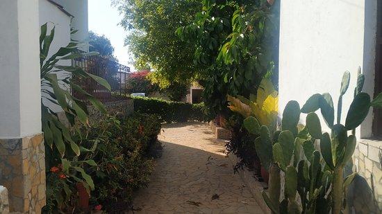 La Fattoria Ristorante Pizzeria