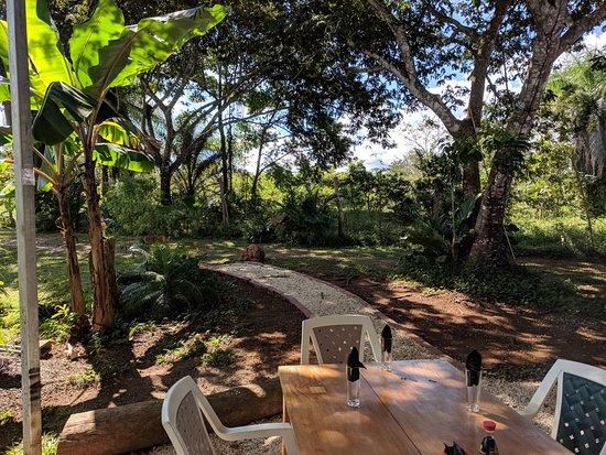 Ash Sushi Restaurant & Cafe