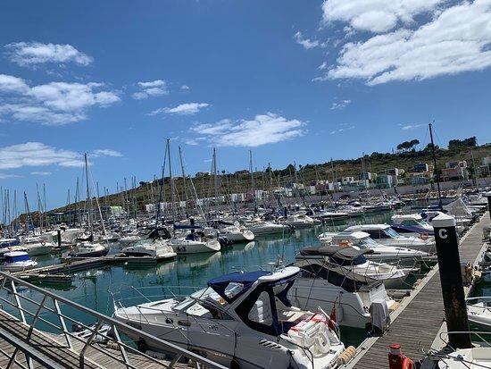 Fat Cats On The Marina